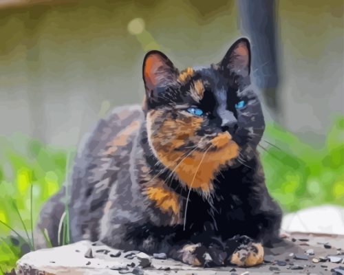 Tortoiseshell Cat Paint By Numbers