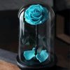 Turquoise Rose In A Dome Paint By Numbers