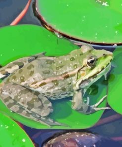 Water Frog On Lily Pond Paint By Numbers