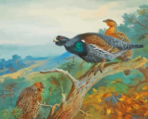 Western Capercaillie On Tree Art Paint By Numbers