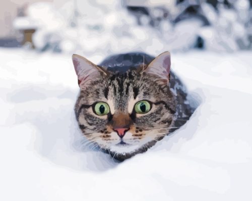 Winter Cat Paint By Numbers