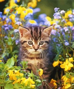 Adorable Cat In A Garden Paint By Numbers