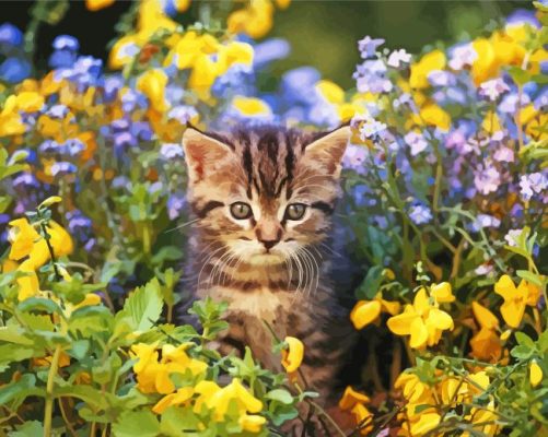 Adorable Cat In A Garden Paint By Numbers