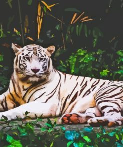Albino Tiger Animal Paint By Numbers