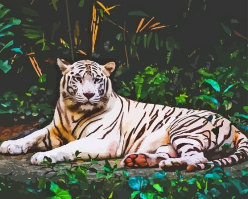 Albino Tiger Animal Paint By Numbers