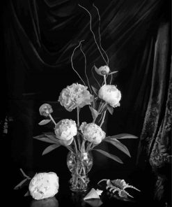 Black And White Peonies In Vase Paint By Numbers