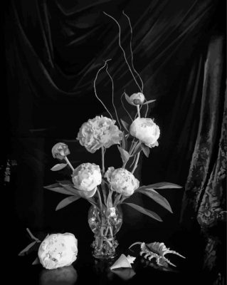 Black And White Peonies In Vase Paint By Numbers