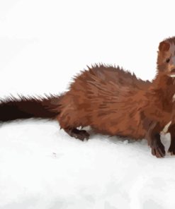 Brown Mink In Snow Paint By Numbers