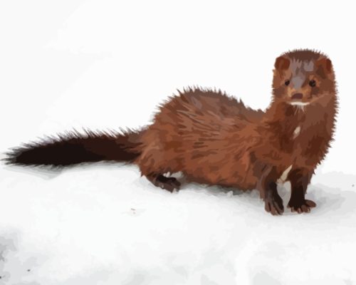 Brown Mink In Snow Paint By Numbers