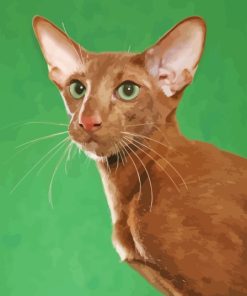 Brown Oriental Cat Paint By Numbers