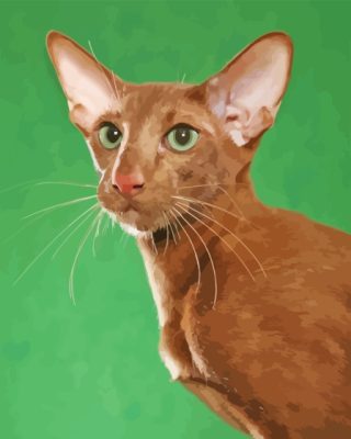 Brown Oriental Cat Paint By Numbers