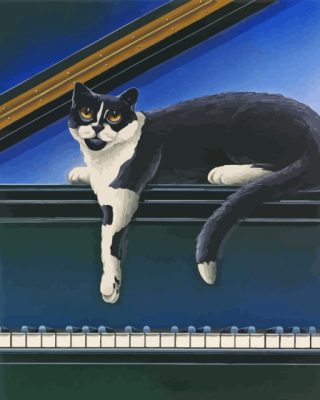 Cat On Piano Paint By Numbers