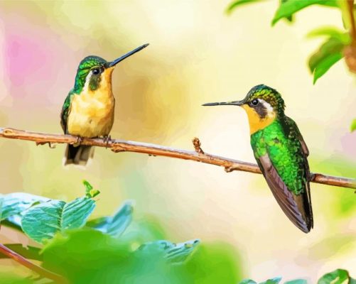 Couple Hummingbird Paint By Numbers