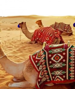 Dubai Desert Camels Paint By Numbers