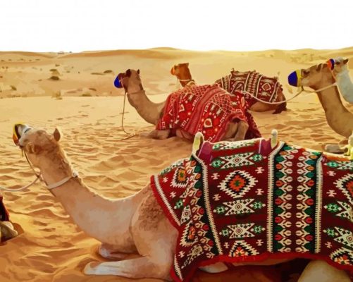 Dubai Desert Camels Paint By Numbers