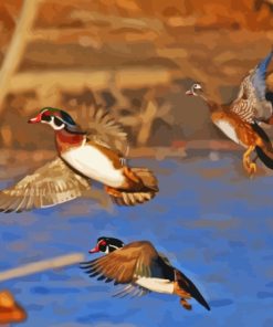 Flying Wood Duck Paint By Numbers