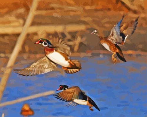 Flying Wood Duck Paint By Numbers