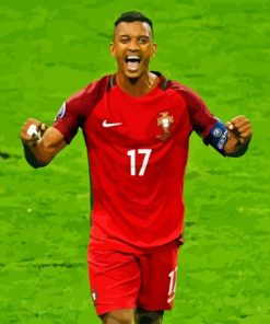 Luís Nani Paint By Numbers