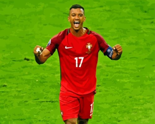 Luís Nani Paint By Numbers