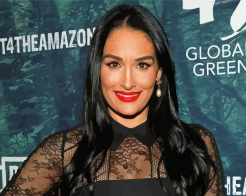 Nikki Bella Professional WWE Paint By Numbers