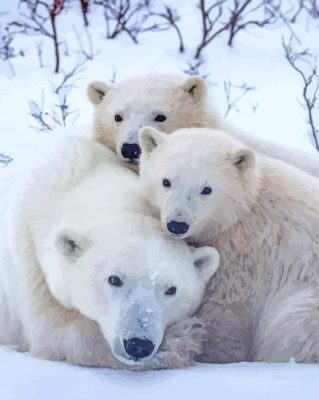 Polar Bear Mother Animals Paint By Numbers