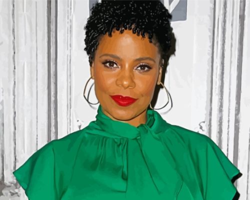 Sanaa Lathan American Actress Paint By Numbers