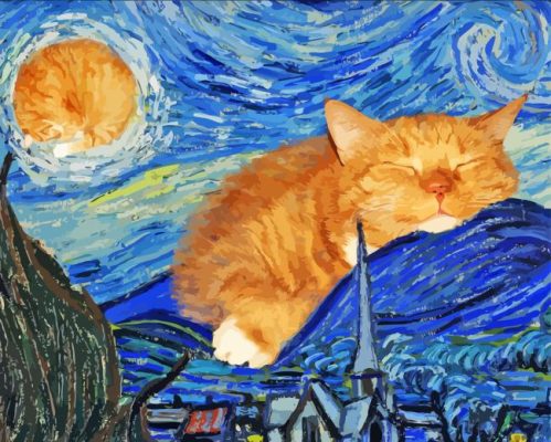 Sleepy Cat Starry Night Paint By Numbers