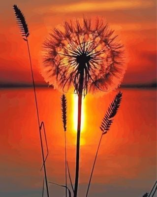 Sunset Dandelion Paint By Numbers