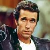 Young Henry Winkler Actor Paint By Numbers