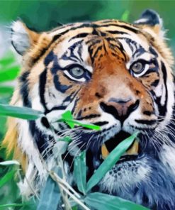 Aesthetic Sumatran Tiger Paint By Numbers