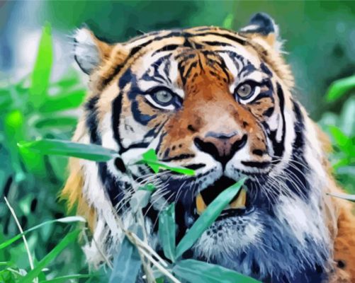 Aesthetic Sumatran Tiger Paint By Numbers