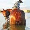 Horse With Mini Aussie Paint By Numbers