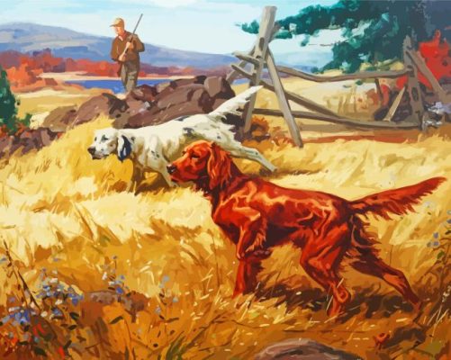 Irish Setter Paint By Numbers