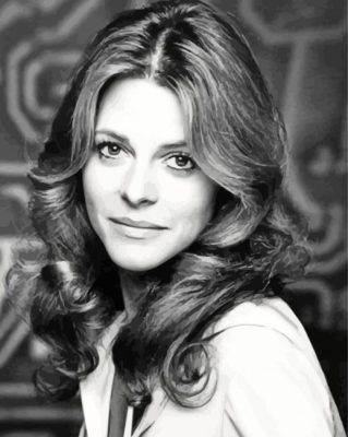 Lindsay Wagner Paint By Numbers