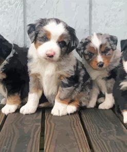 Mini Aussie Dogs Paint By Numbers