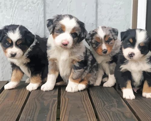 Mini Aussie Dogs Paint By Numbers