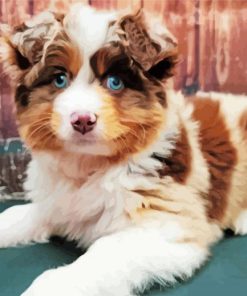 Mini Aussie With Blue Eyes Paint By Numbers
