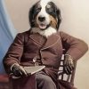 Mr Bernese Mountain Dog Paint By Numbers