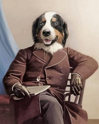 Mr Bernese Mountain Dog Paint By Numbers