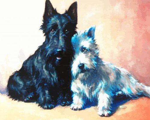 Abstract Black And White Scottish Terrier Paint By Numbers