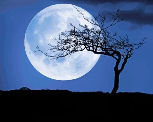 Night Tree Moon Paint By Numbers