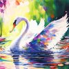 Swan Bird Paint By Numbers