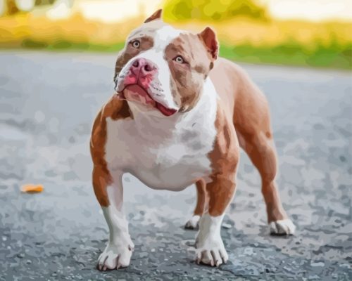 American Bully Paint By Numbers