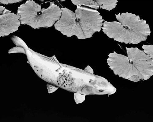 Black And White Koi Fish Paint By Numbers