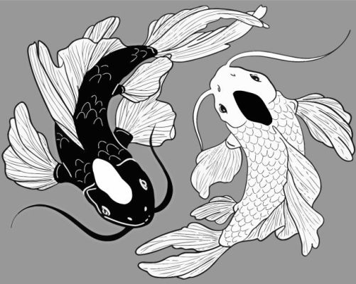 Black And White Koi Fish Paint By Numbers