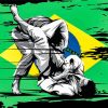 Brazilian Jiu Jitsu Art Paint By Numbers