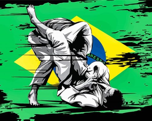 Brazilian Jiu Jitsu Art Paint By Numbers