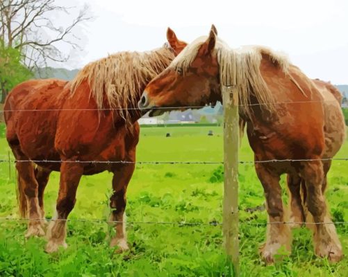 Brown Percheron Horses In Farm Paint By Numbers