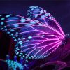 Butterfly And Purple Light Wings Paint By Numbers