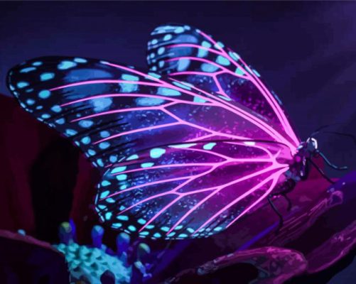 Butterfly And Purple Light Wings Paint By Numbers